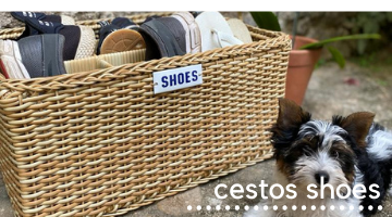 _Cesto Shoes
