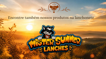 Parceria - Mister Summer