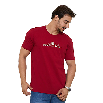 Camiseta Espírito Santo