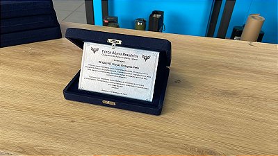 PLACA DE HOMENAGEM COM ESTOJO 20X15
