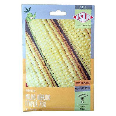 Semente de Milho Hibrido Itapuã 700 (CD 308) 10 g - Isla 509.31