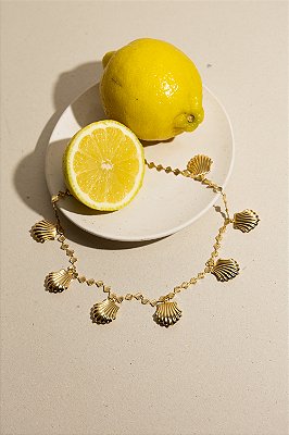 Colar Conchas Gold