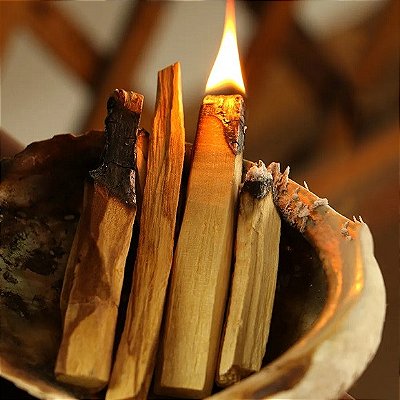 Palo Santo incenso natural