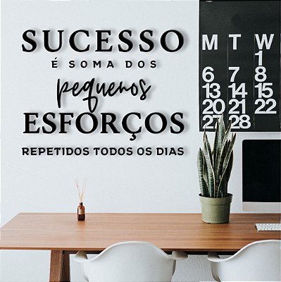 Sucesso é a soma dos pequenos esforços repetidos todos os dias