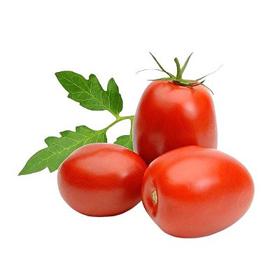 TOMATE ITALIANO ORG DS 500G
