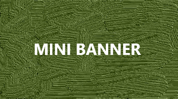 mini-banner-01