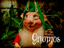 Gnomos