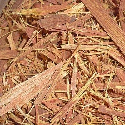 UNHA DE GATO GM 100G