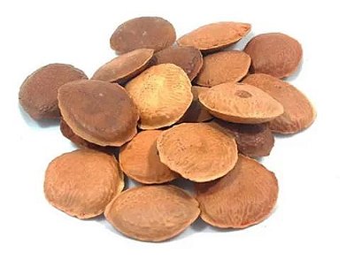 SEMENTE DE SUCUPIRA 100G