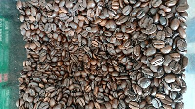 CAFÉ EM GRÃO 100% ARÁBICA DE PIATÃ 1KG