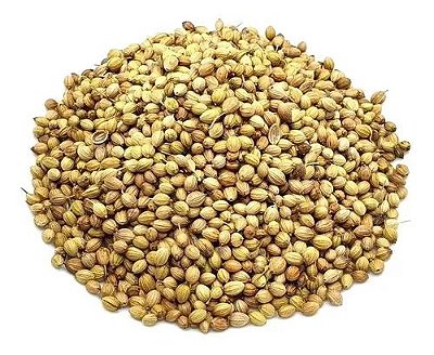 SEMENTE DE COENTRO EM GRÃOS 100G