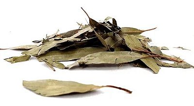 Eucalipto em folhas 100g