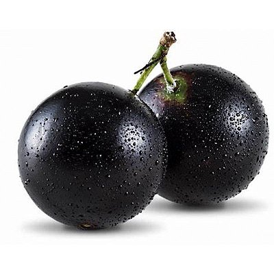 Jabuticaba Híbrida Produz em 1 ano Planta Com 80 Cm + Brinde