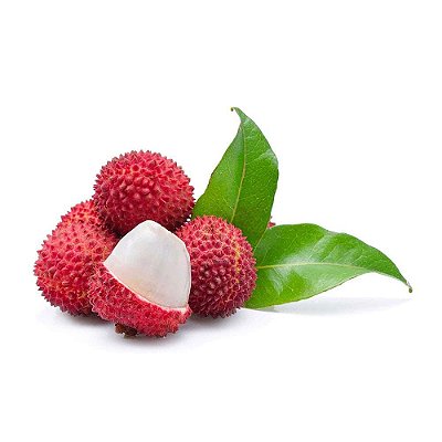 Lichia de Alporquia Muda Produzindo - Litchi chinensis Sonn