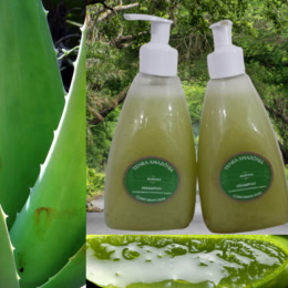KIT-SHAMPOOS DE BABOSA