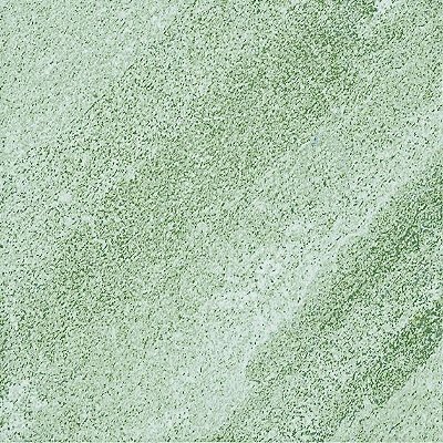 AZULEJO 20X20 CARIBE PISCINA – BELEZA E RESISTÊNCIA PARA SEU PROJETO