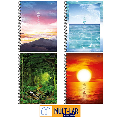 CADERNO 10 MATERIAS 4 ELEMENTOS COM 4 UNIDADES 3080268