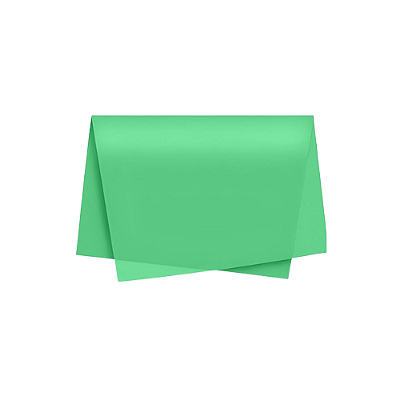 SEDA VERDE PCT C/ 100 FOLHAS 383