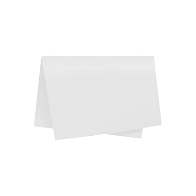 CARTOLINA BRANCA PCT C/ 100 109284