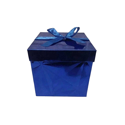 CAIXA PARA PRESENTE PAPEL 22X22X22CM 6418