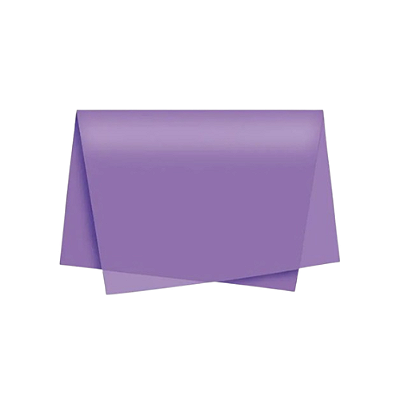 SEDA LILAS PCT C/ 100 FOLHAS 377