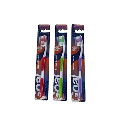 ESCOVA DE DENTE ADULTO DZ GL0310