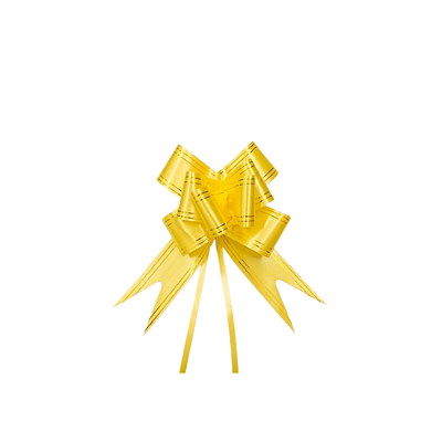 LAÇO FACIL 75X4,8CM CARTELA C/10 LAÇOS AX12960-A