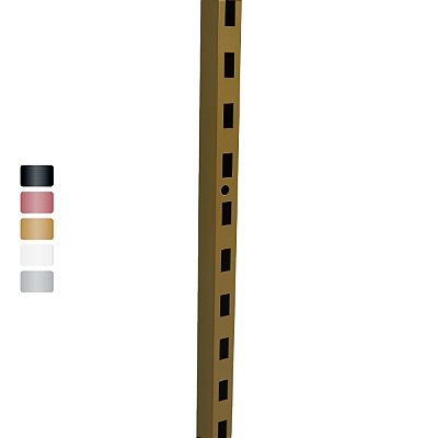 Coluna de Cremalheira Reta 220cm  Para Varão RG100 - RG100x30 - RG50 - RG50x30