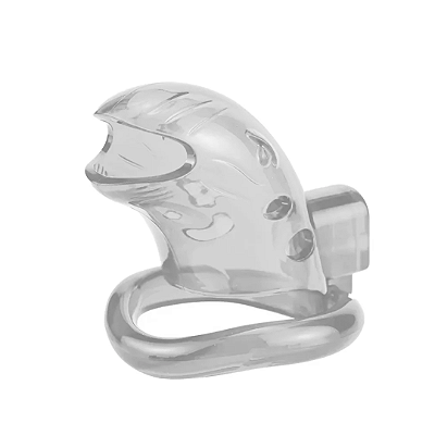 Cinto de Castidade Masculino Cabeça de Golfinho