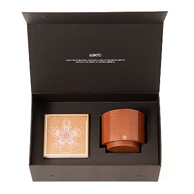 KIT ASTERIDIA MIGUEL BOHMER + VELA TERRACOTA CASA OLIN