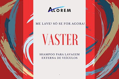 VASTER - SHAMPOO LAVA CARRO