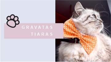 GRAVATAS