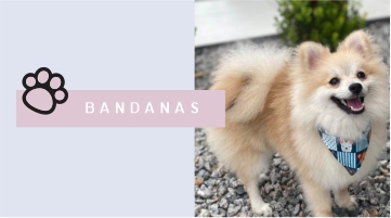 BANDANAS