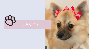 LAÇOS