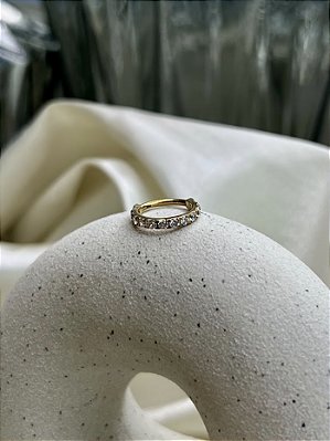 Argola com zircônias -Titânio Gold - Nova