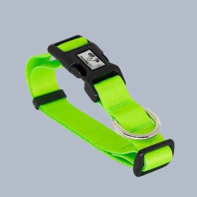 Coleira Light Green para Cães - Madiba Pet