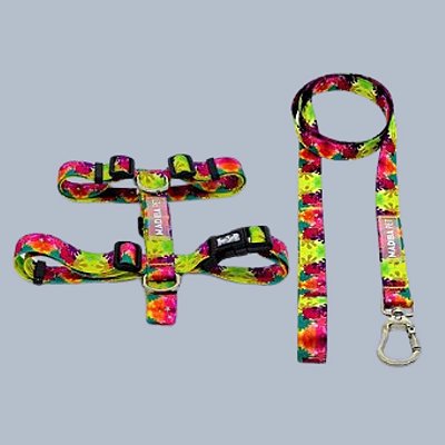 Kit Peitoral H e Guia de Passeio Spring para Cães e Gatos - Madiba Pet