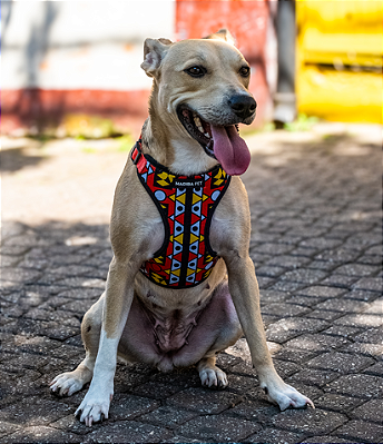 Coleira Peitoral com Guia para Cachorros Neoprene Samakaka Vermelha
