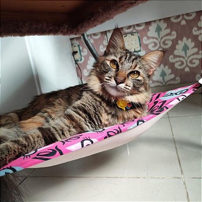 Cama rede de descanso para gatos