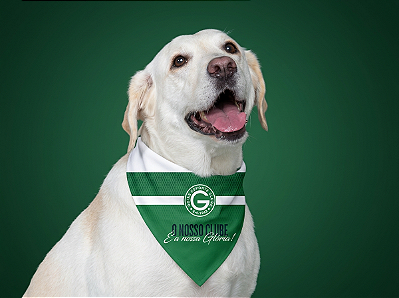 Bandana Goiás para Cães e Gatos