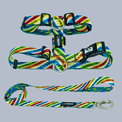 Kit Peitoral H e Guia de Passeio Bomfim para Cães e Gatos - Madiba Pet