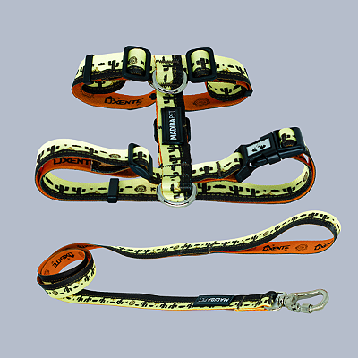 Kit Peitoral H e Guia de Passeio Oxente para Cães e Gatos - Madiba Pet