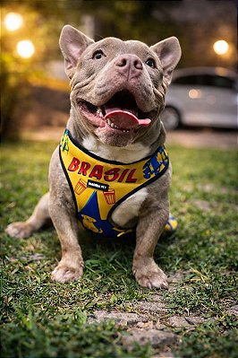 Kit Peitoral H e Guia de Passeio Puro Suco do Brasil para Cães e Gatos - Madiba Pet
