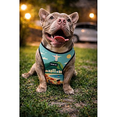 Kit Peitoral Tecido Fresh e Guia de Passeio Rio de Janeiro para Cães e Gatos - Madiba Pet