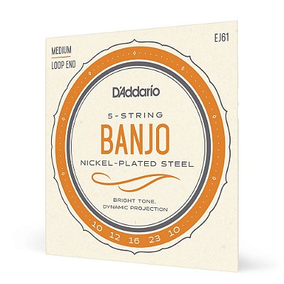 Encord Banjo 5C .010 D Addario Nickel-Plated Steel EJ61