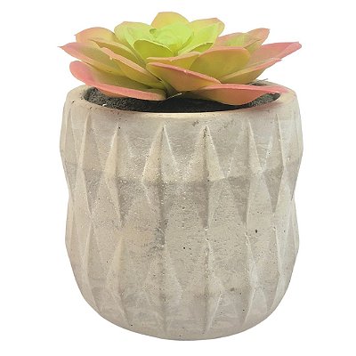 Vaso De Cimento Com Suculenta