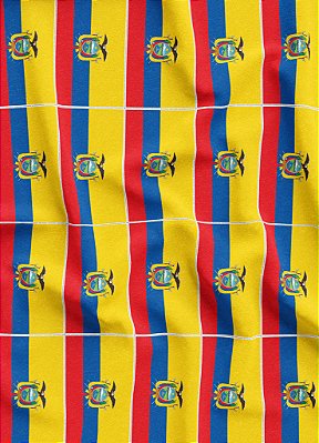 Tecido Oxford Estampa Digital Bandeirinhas do Equador 1,55m de Largura