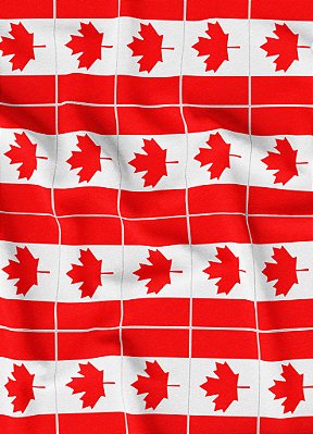 Tecido Helanca Estampa Digital Bandeirinhas do Canadá 1,55m de Largura