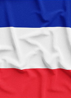 Tecido Veludo Suede Estampa Digital Bandeira da França 1,40m de Largura