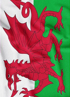 Tecido Veludo Suede Estampa Digital Bandeira do País de Gales 1,40m de Largura